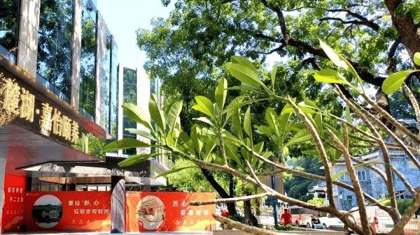 养院详情介绍-嘉怡颐养院医养综合体麻将胡了网址2025广州市嘉怡颐(图1)