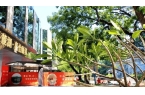 养院详情介绍-嘉怡颐养院医养综合体麻将胡